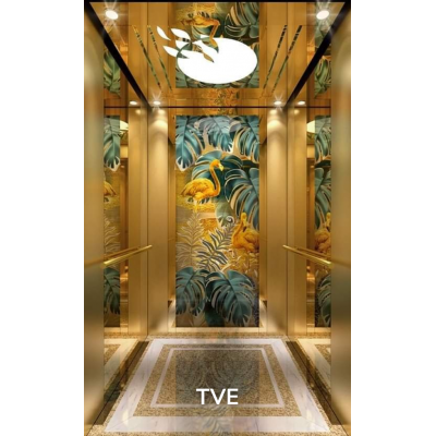Thang Máy Khách Sạn 17